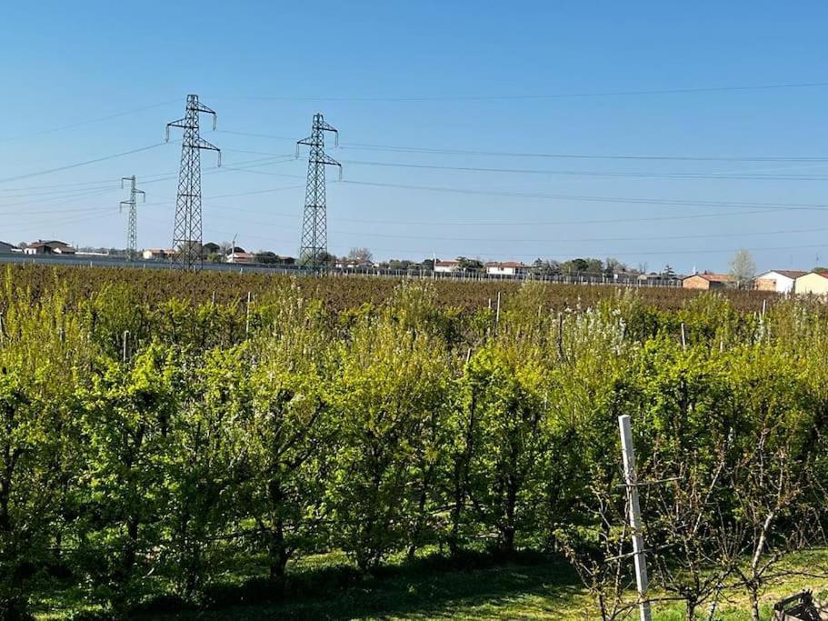 Sotto La Luna Casa In Campagna Castel Bolognese Luaran gambar