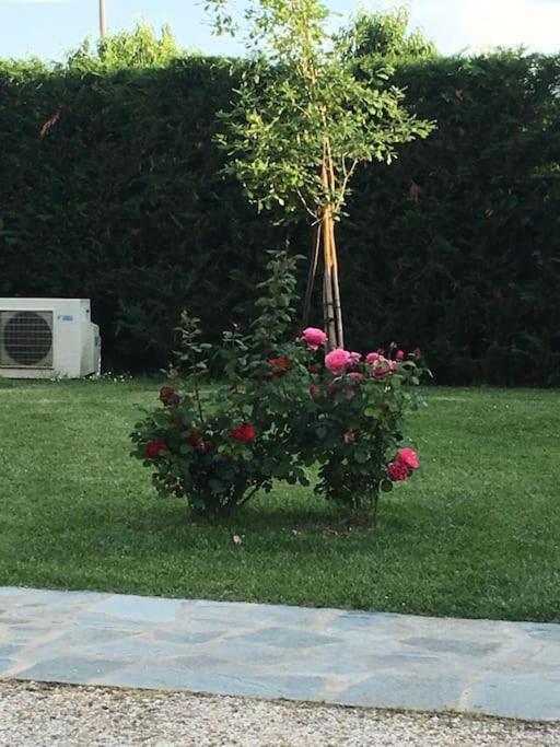 Sotto La Luna Casa In Campagna Castel Bolognese Luaran gambar