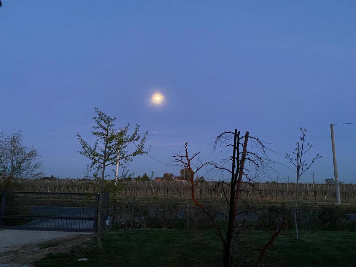 Sotto La Luna Casa In Campagna Castel Bolognese Luaran gambar